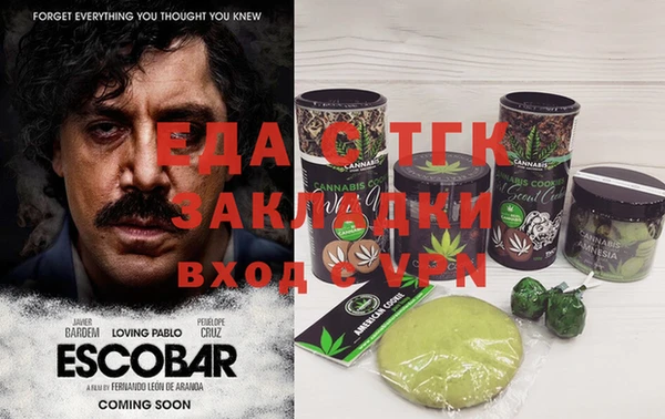 гашик Ладушкин
