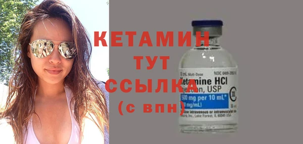 индика Кулебаки