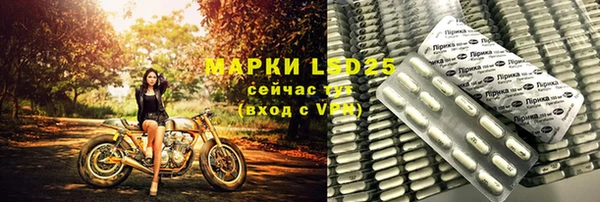 гашик Ладушкин