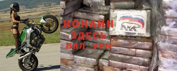 гашик Ладушкин