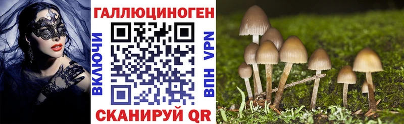 Галлюциногенные грибы MAGIC MUSHROOMS  Михайловка 